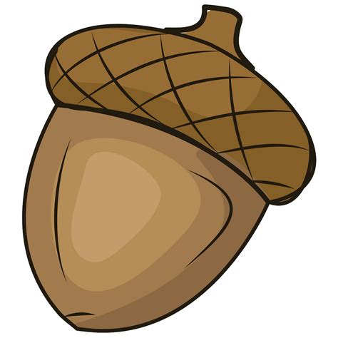 acorn images clip art